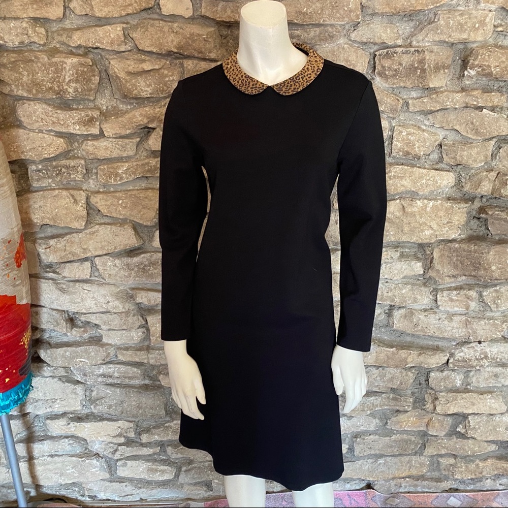 J.McLaughlin Black Dress wLeopard Collar Size S